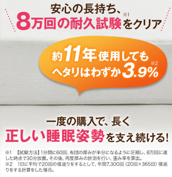 ���b�g���̑ϋv��